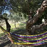Titi וילה *